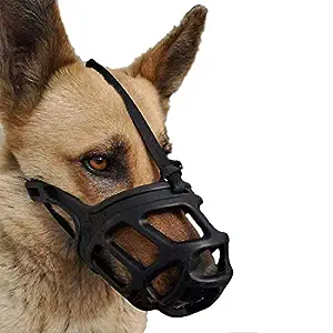 Dog Muzzle Cum Mouth Cover- Dogs