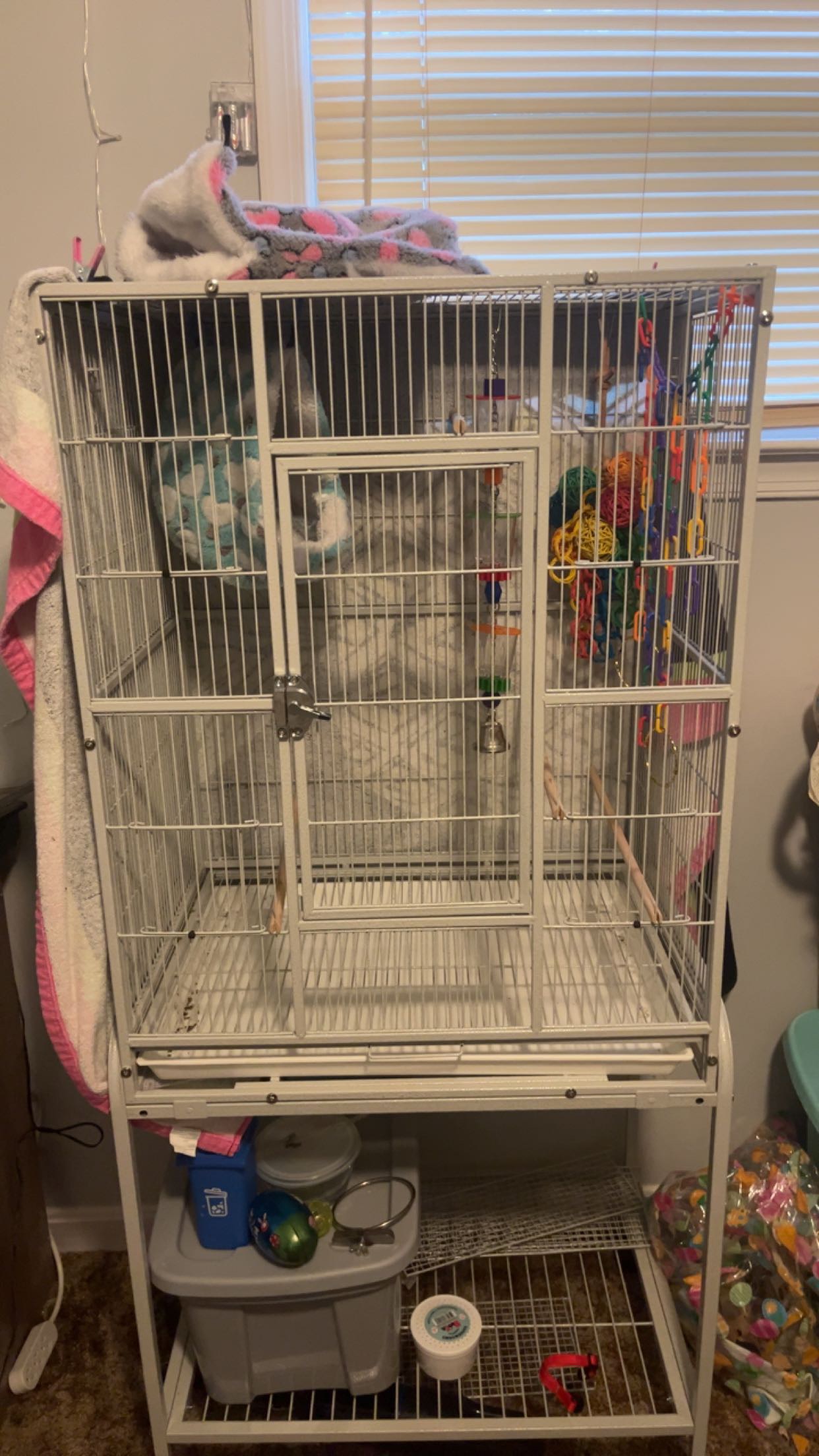 Pet image – gallery view