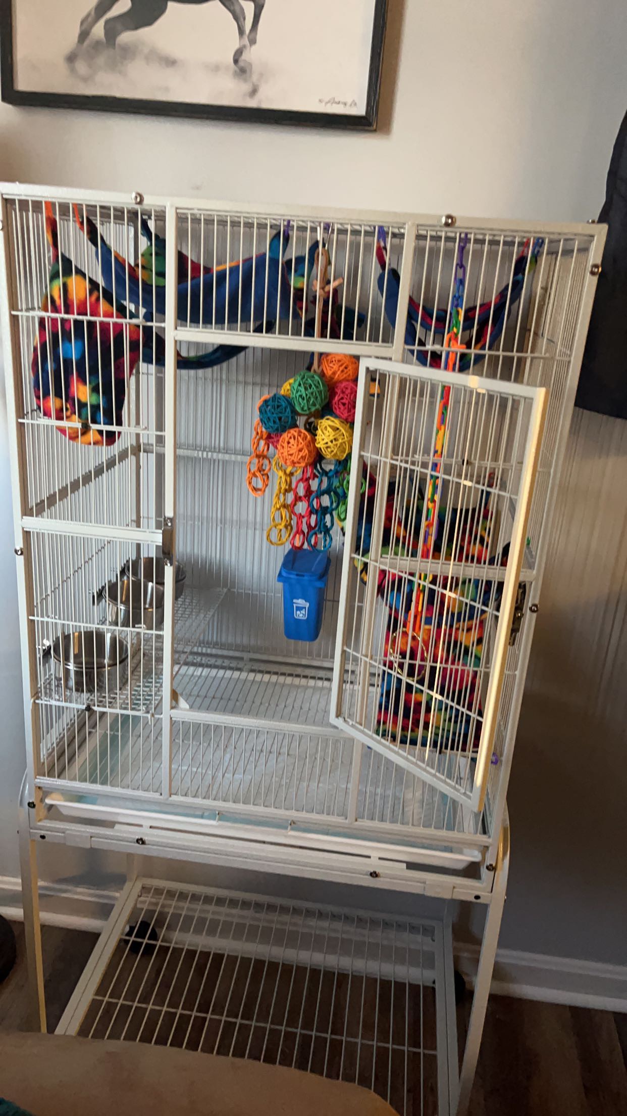 Pet image – gallery view