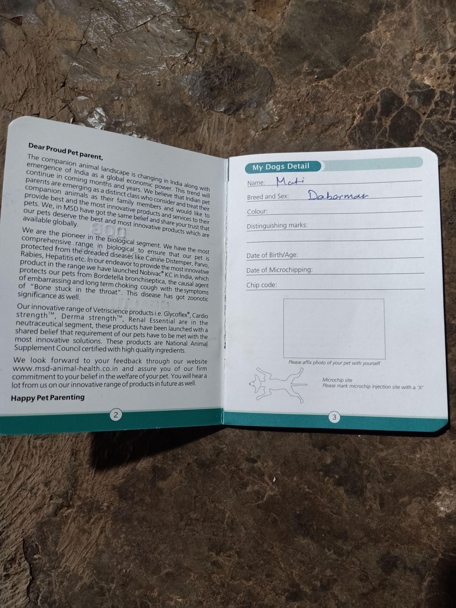 Pet image – gallery view