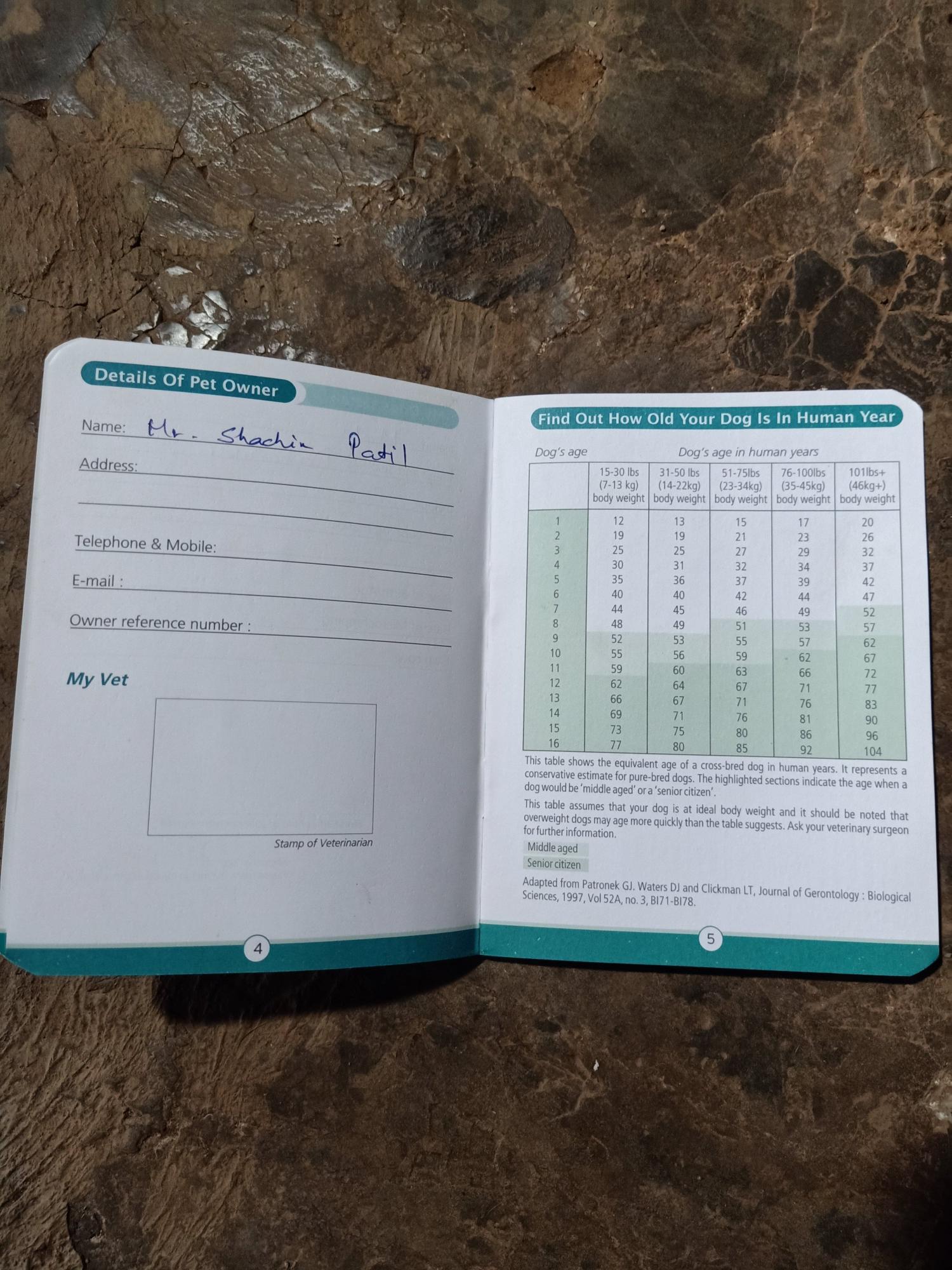 Pet image – gallery view