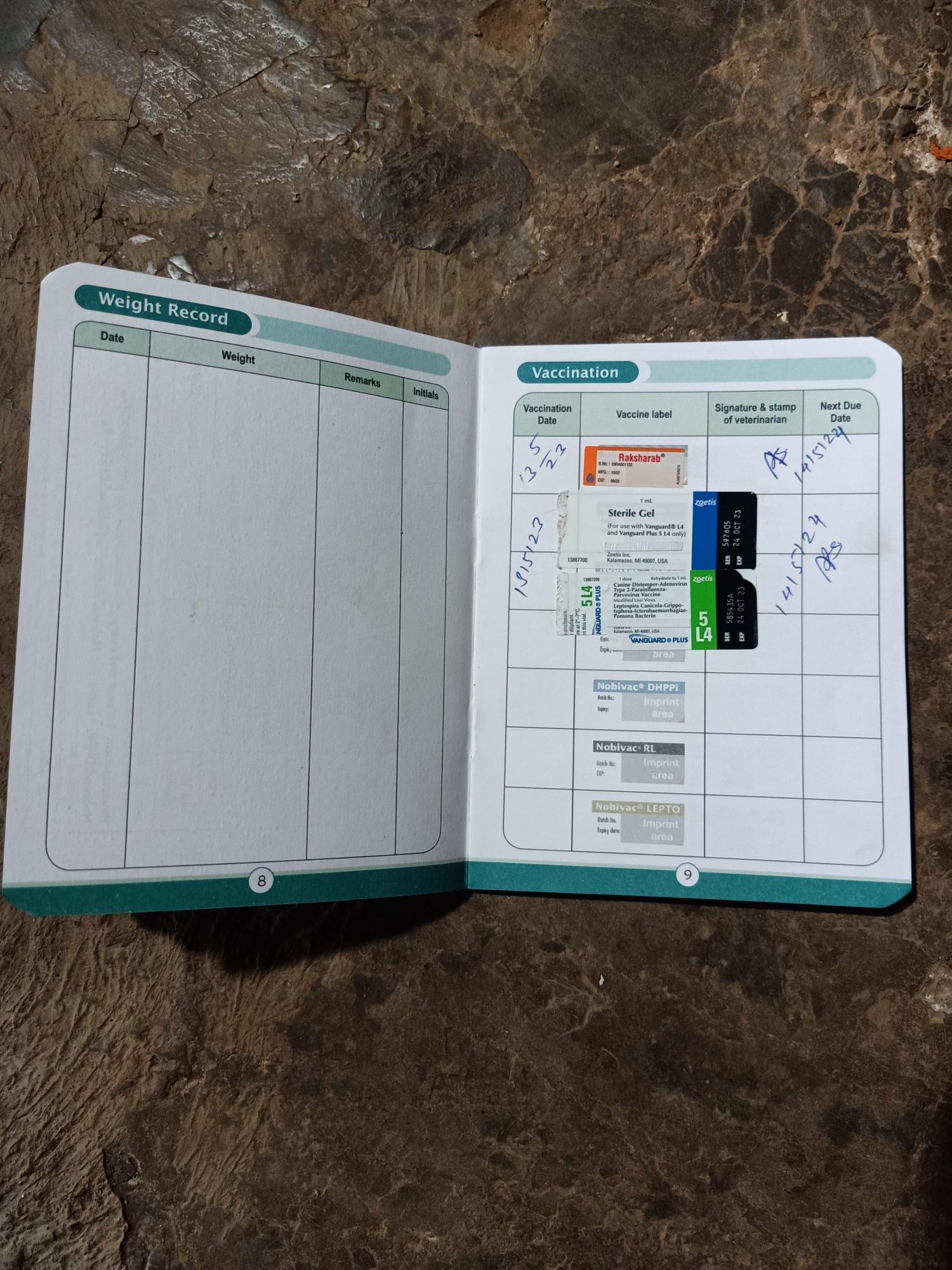 Pet image – gallery view