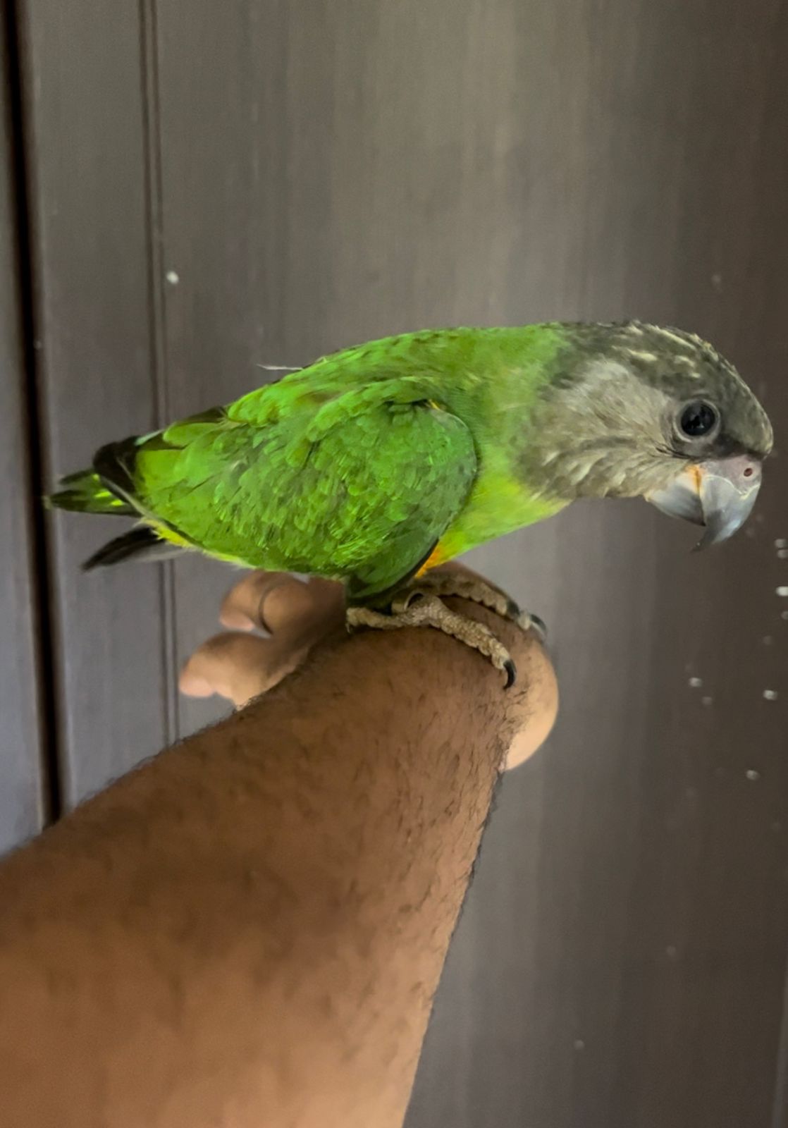 blog-img