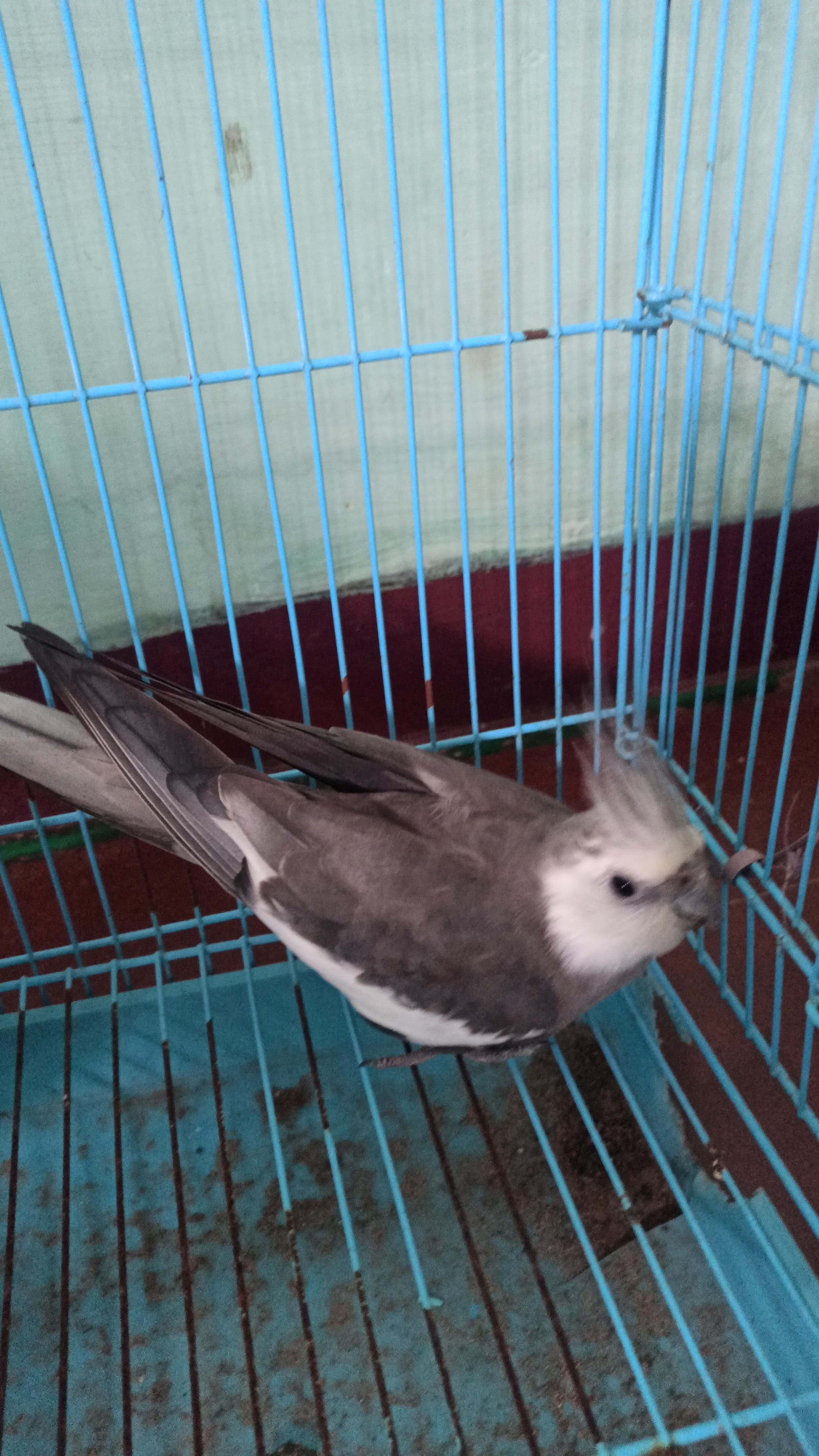 blog-img