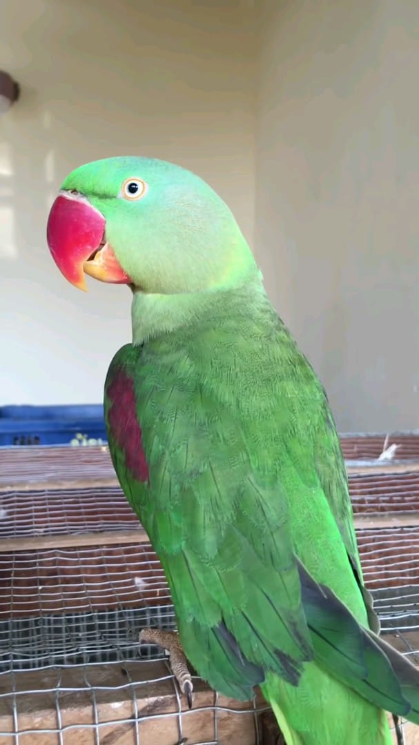 blog-img