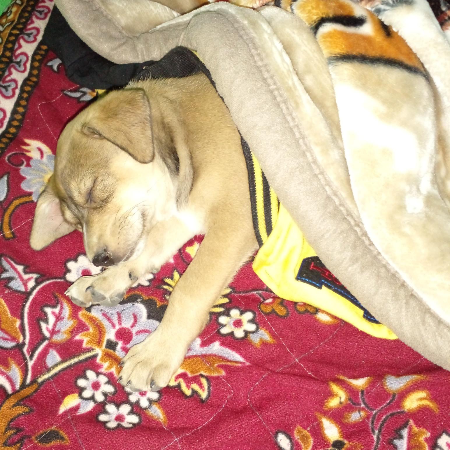 blog-img