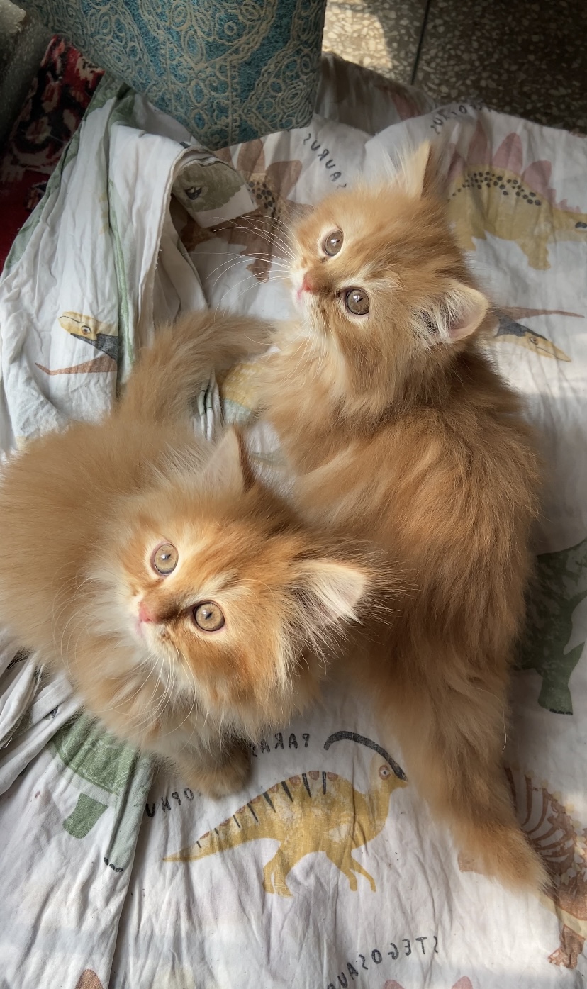 blog-img