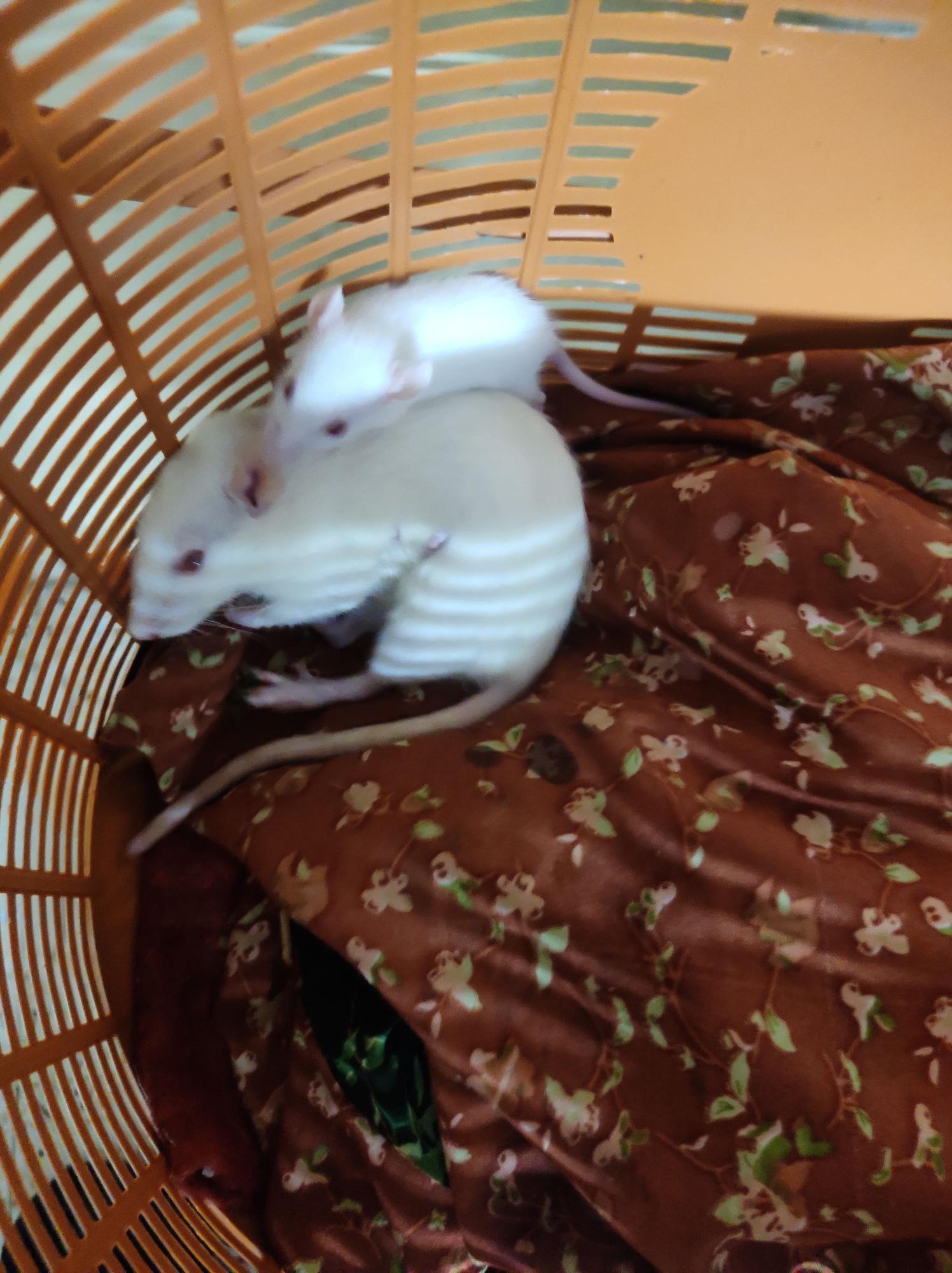 blog-img
