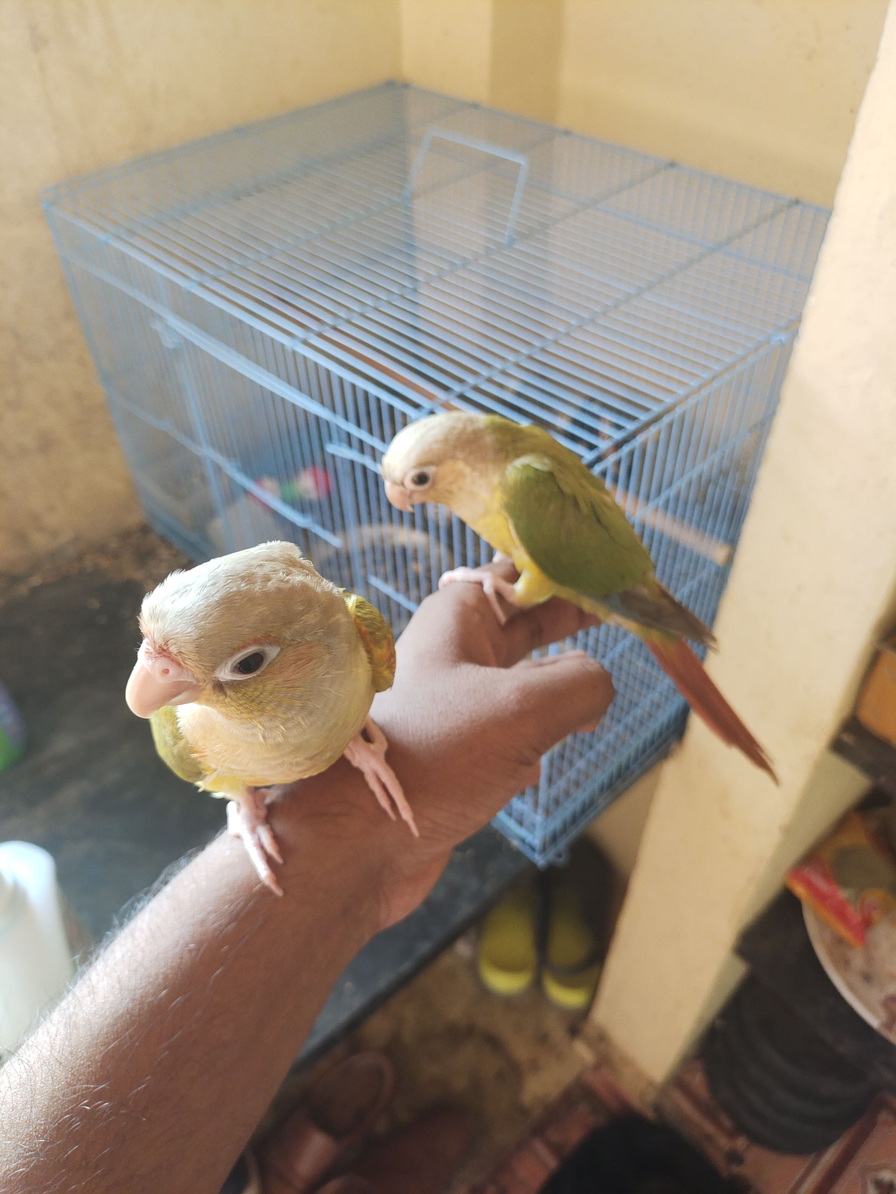 blog-img