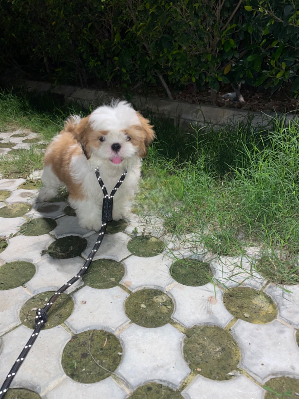 blog-img