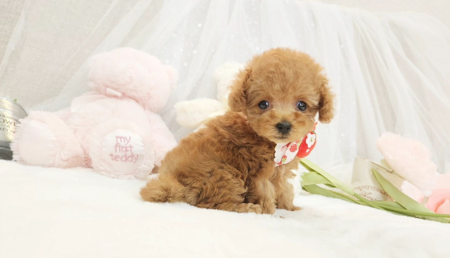 blog-img