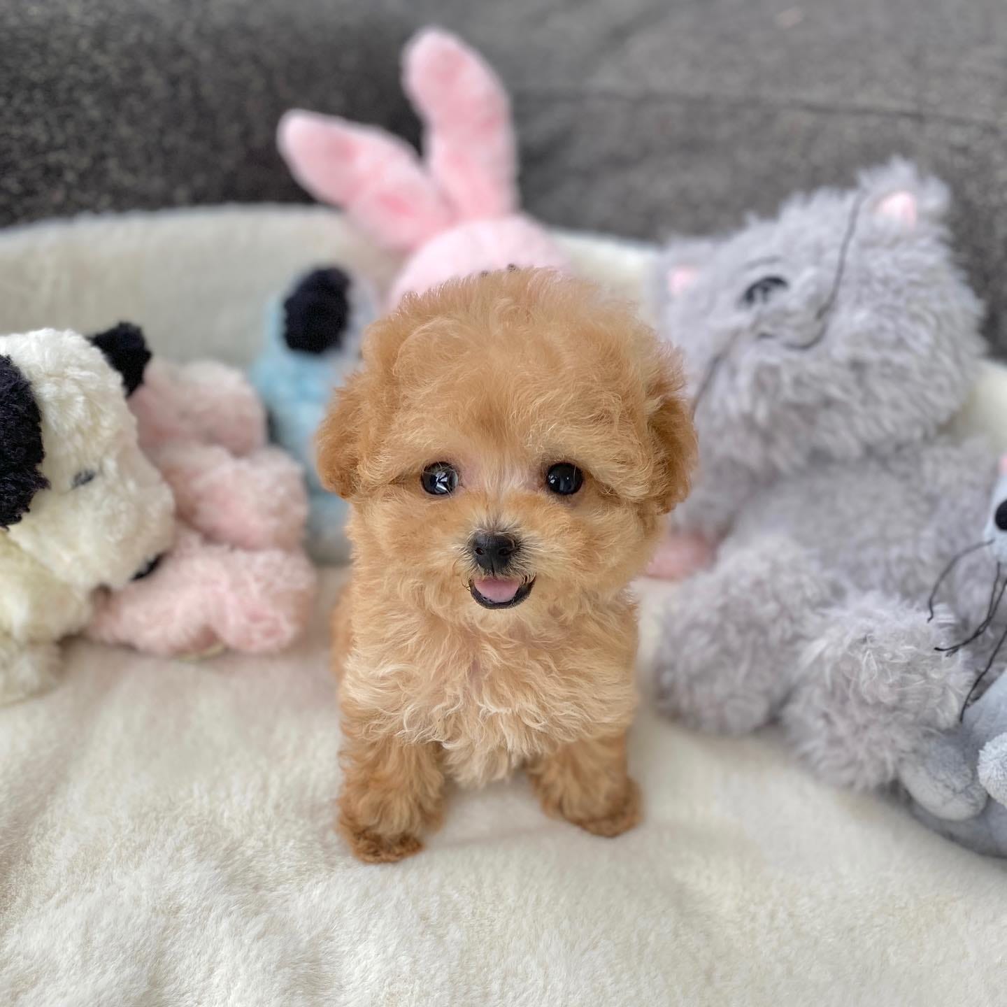 blog-img